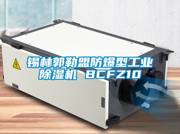 錫林郭勒盟防爆型工業除濕機 BCFZ10