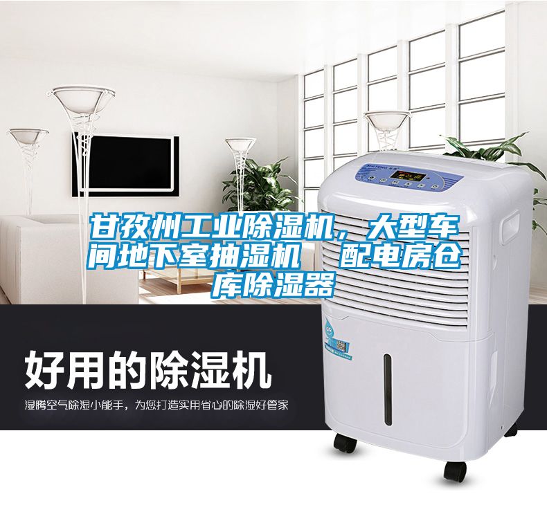 甘孜州工業除濕機，大型車間地下室抽濕機  配電房倉庫除濕器