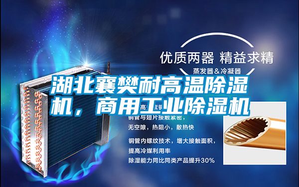 湖北襄樊耐高溫除濕機(jī)，商用工業(yè)除濕機(jī)