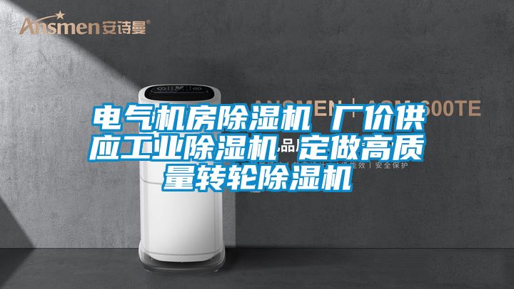 電氣機房除濕機 廠價供應工業除濕機 定做高質量轉輪除濕機