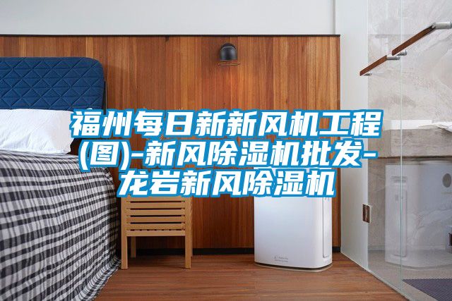 福州每日新新風機工程(圖)-新風除濕機批發-龍巖新風除濕機