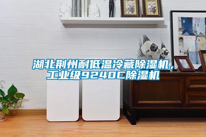 湖北荊州耐低溫冷藏除濕機，工業級9240C除濕機