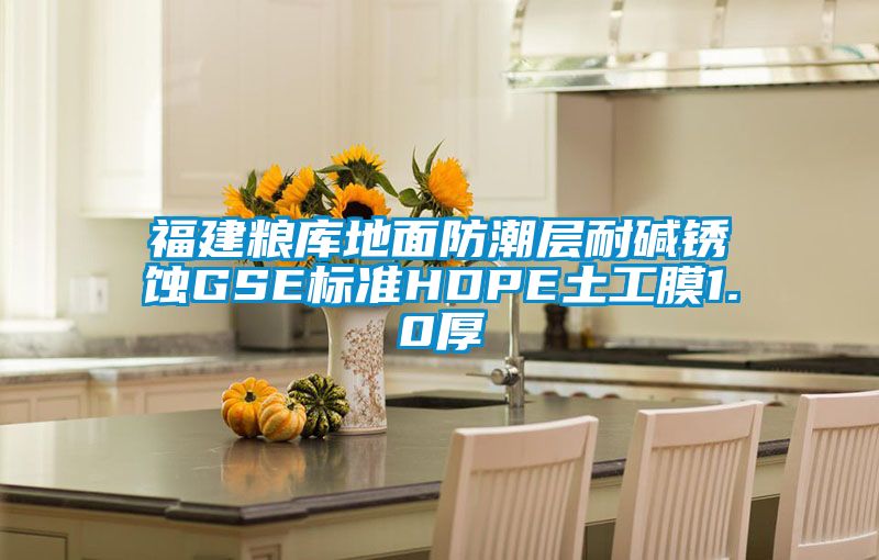福建糧庫地面防潮層耐堿銹蝕GSE標準HDPE土工膜1.0厚