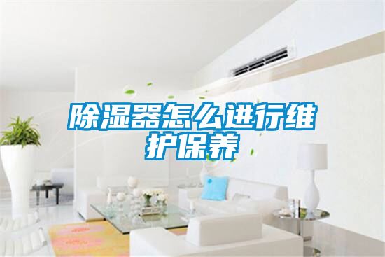 除濕器怎么進行維護保養