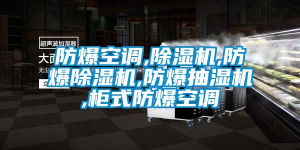 防爆空調,除濕機,防爆除濕機,防爆抽濕機,柜式防爆空調