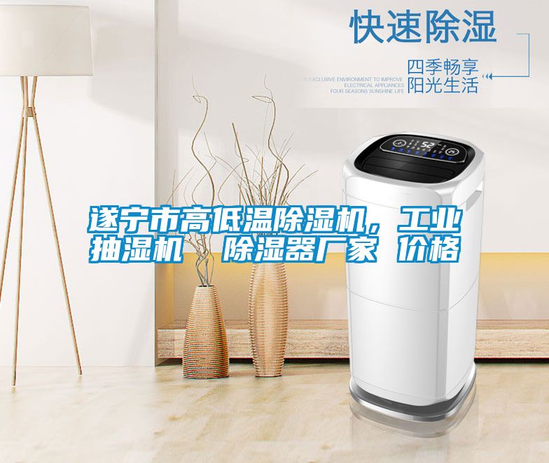 遂寧市高低溫除濕機，工業(yè)抽濕機  除濕器廠家 價格