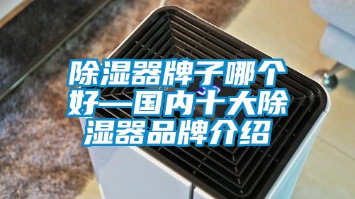 除濕器牌子哪個好—國內十大除濕器品牌介紹