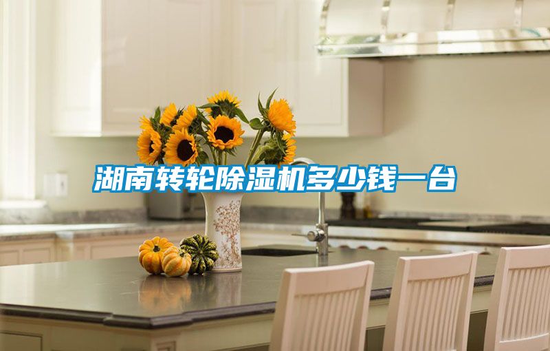 湖南轉輪除濕機多少錢一臺