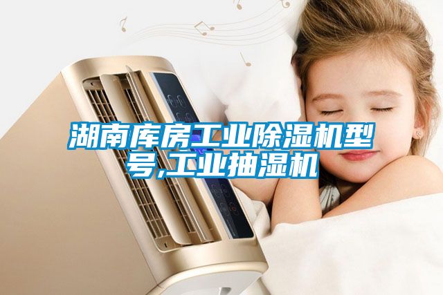 湖南庫房工業除濕機型號,工業抽濕機