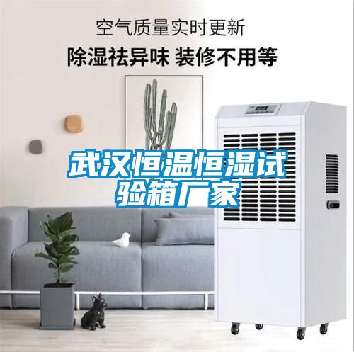武漢恒溫恒濕試驗(yàn)箱廠家