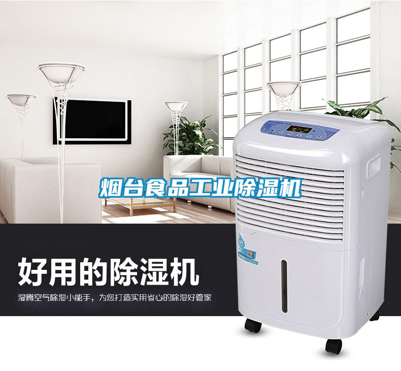 煙臺食品工業除濕機