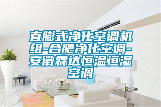 直膨式凈化空調機組-合肥凈化空調-安徽霖達恒溫恒濕空調