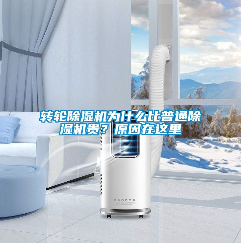 轉輪除濕機為什么比普通除濕機貴？原因在這里