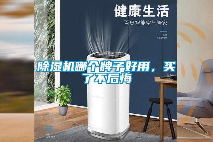 除濕機(jī)哪個(gè)牌子好用，買(mǎi)了不后悔
