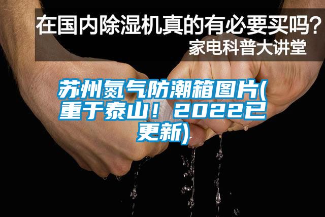 蘇州氮氣防潮箱圖片(重于泰山！2022已更新)