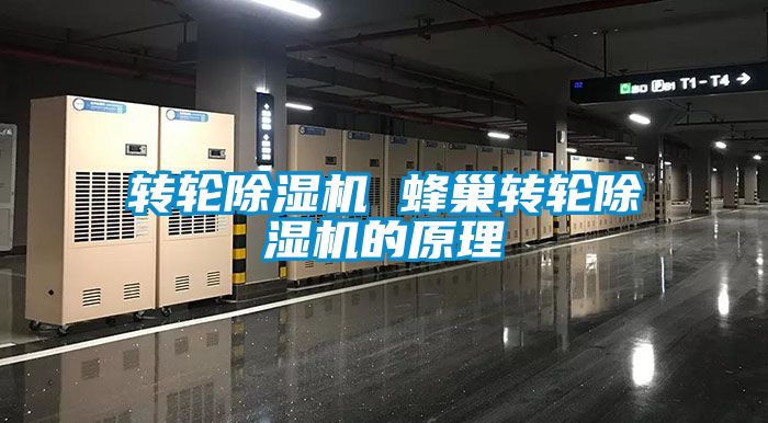 轉輪除濕機 蜂巢轉輪除濕機的原理