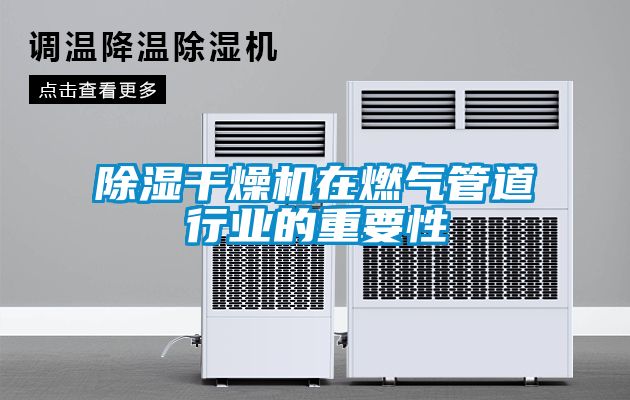 除濕干燥機在燃氣管道行業的重要性