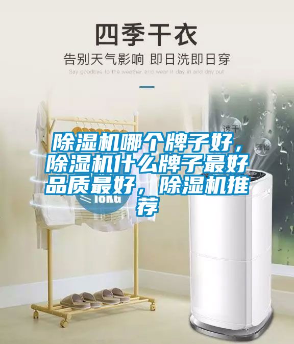 除濕機哪個牌子好，除濕機什么牌子最好品質最好，除濕機推薦