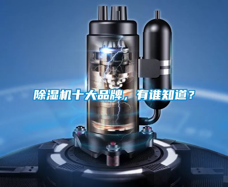 除濕機十大品牌，有誰知道？