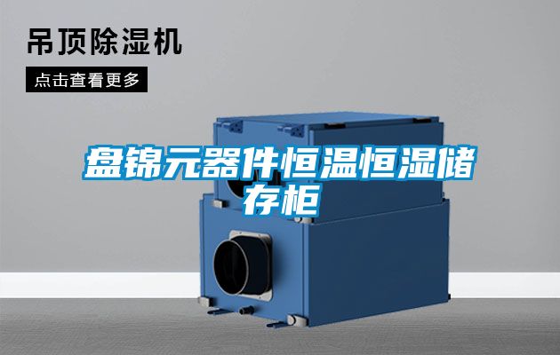 盤錦元器件恒溫恒濕儲存柜