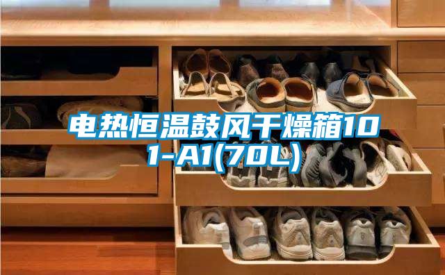 電熱恒溫鼓風干燥箱101-A1(70L)
