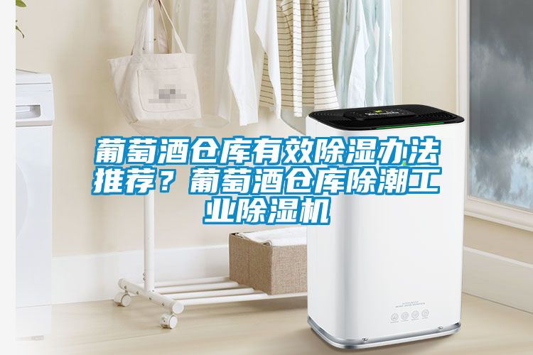 葡萄酒倉庫有效除濕辦法推薦？葡萄酒倉庫除潮工業除濕機