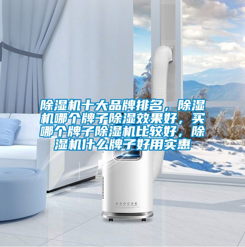 除濕機十大品牌排名，除濕機哪個牌子除濕效果好，買哪個牌子除濕機比較好，除濕機什么牌子好用實惠