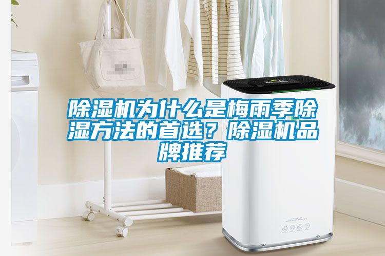 除濕機為什么是梅雨季除濕方法的首選？除濕機品牌推薦