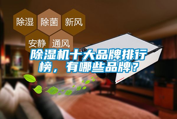 除濕機十大品牌排行榜，有哪些品牌？