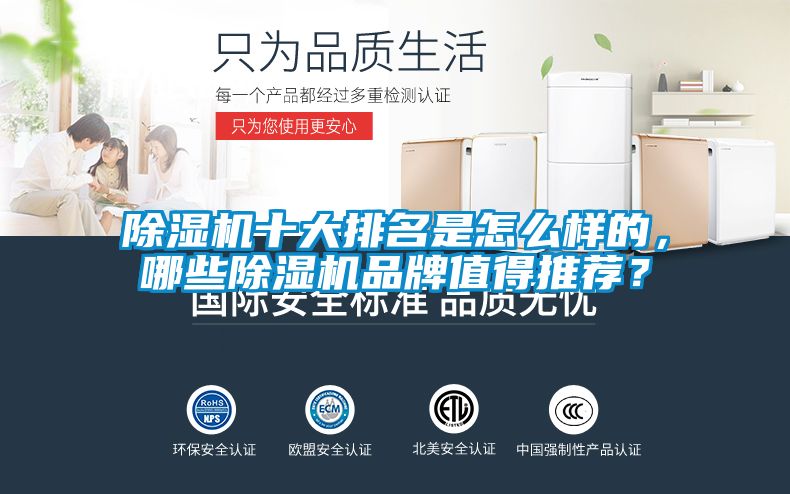 除濕機十大排名是怎么樣的，哪些除濕機品牌值得推薦？