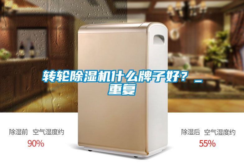 轉(zhuǎn)輪除濕機什么牌子好？_重復(fù)
