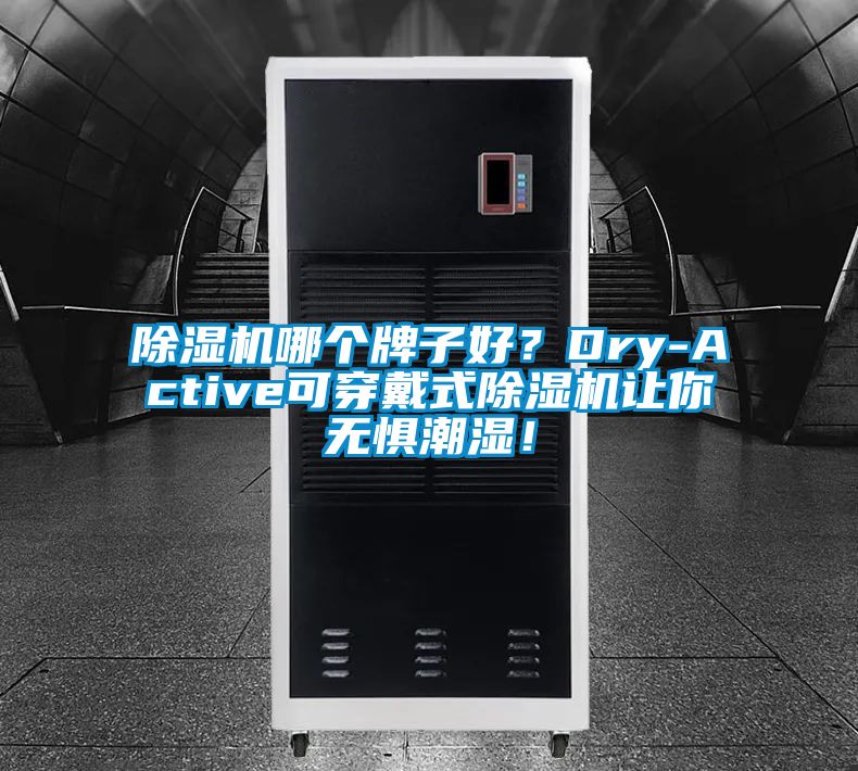 除濕機(jī)哪個(gè)牌子好？Dry-Active可穿戴式除濕機(jī)讓你無懼潮濕！