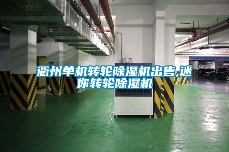 衢州單機轉輪除濕機出售,迷你轉輪除濕機