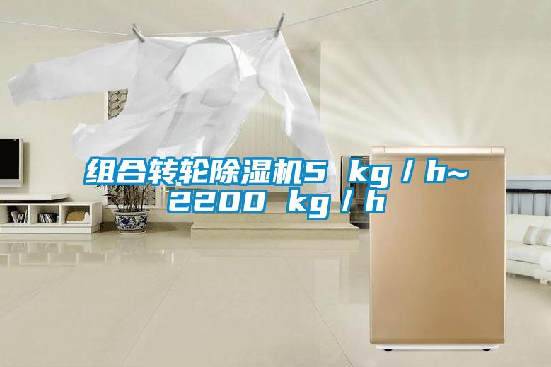 組合轉(zhuǎn)輪除濕機5 kg／h~2200 kg／h
