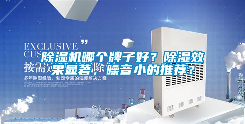 除濕機哪個牌子好？除濕效果顯著，噪音小的推薦？