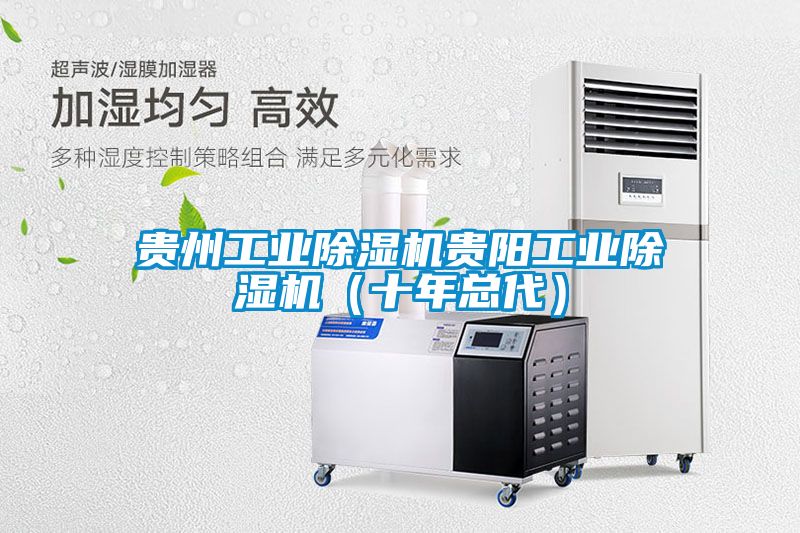貴州工業除濕機貴陽工業除濕機（十年總代）
