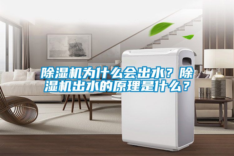 除濕機為什么會出水？除濕機出水的原理是什么？