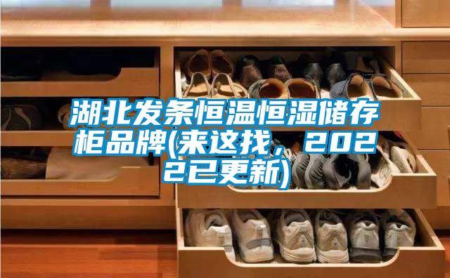 湖北發條恒溫恒濕儲存柜品牌(來這找，2022已更新)