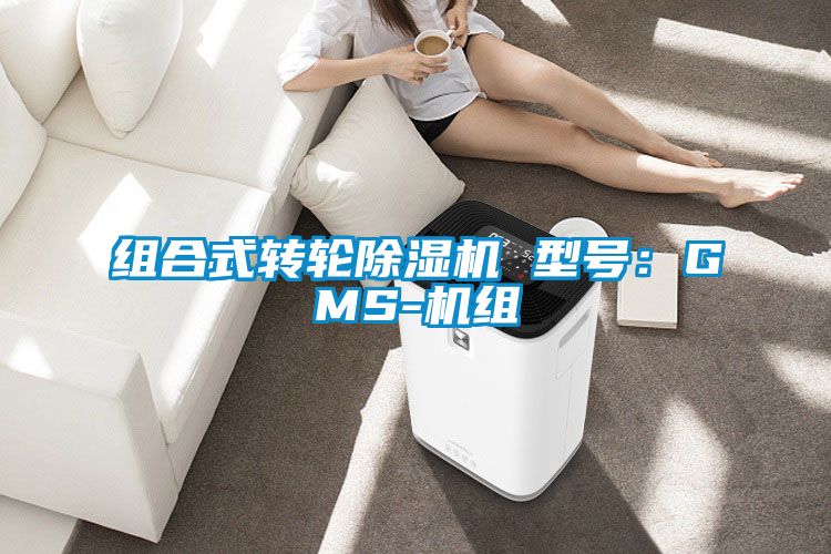 組合式轉輪除濕機 型號：GMS-機組