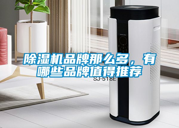 除濕機(jī)品牌那么多，有哪些品牌值得推薦