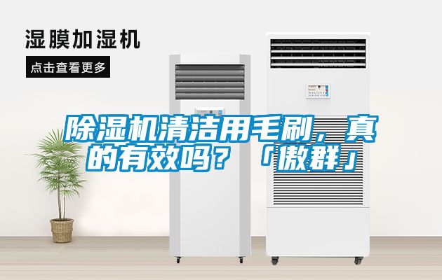 除濕機清潔用毛刷，真的有效嗎？「傲群」