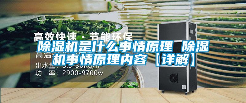 除濕機是什么事情原理 除濕機事情原理內容【詳解】