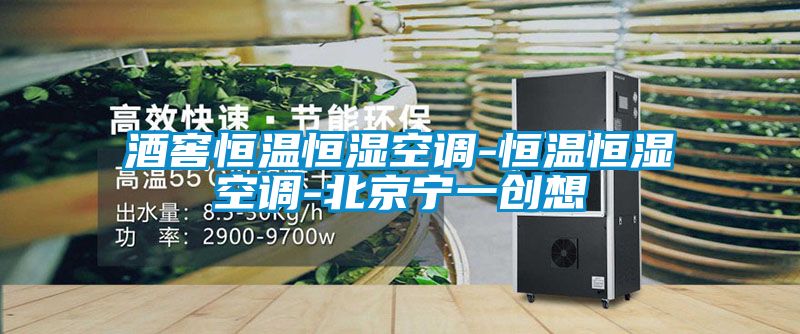 酒窖恒溫恒濕空調-恒溫恒濕空調-北京寧一創想