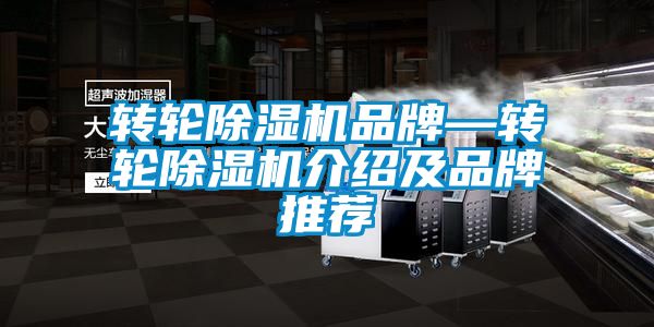 轉輪除濕機品牌—轉輪除濕機介紹及品牌推薦