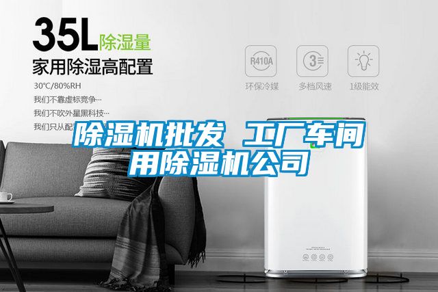除濕機批發 工廠車間用除濕機公司