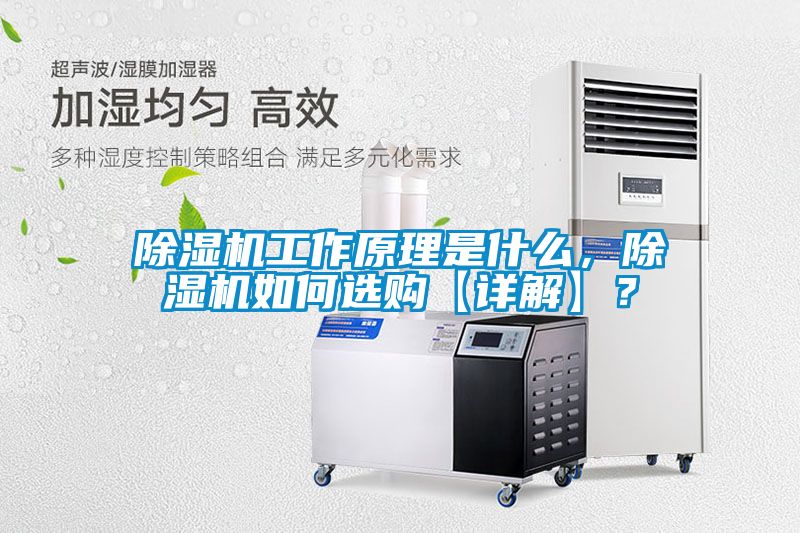 除濕機工作原理是什么，除濕機如何選購【詳解】？