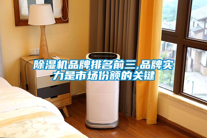 除濕機品牌排名前三,品牌實力是市場份額的關鍵