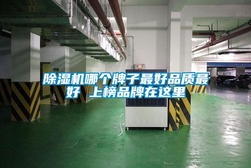 除濕機哪個牌子最好品質最好 上榜品牌在這里