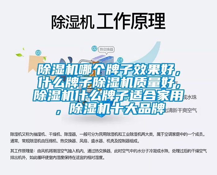 除濕機(jī)哪個牌子效果好，什么牌子除濕機(jī)質(zhì)量好，除濕機(jī)什么牌子適合家用，除濕機(jī)十大品牌