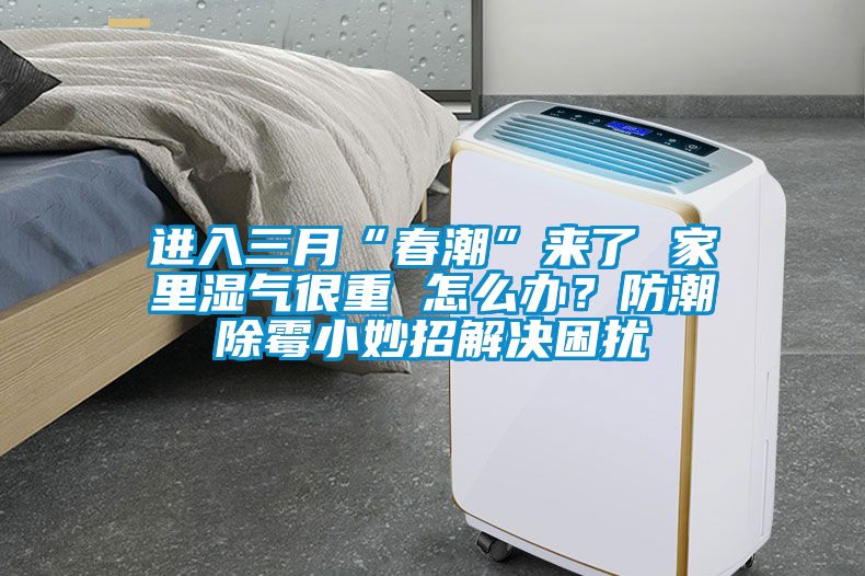 進入三月“春潮”來了 家里濕氣很重 怎么辦？防潮除霉小妙招解決困擾